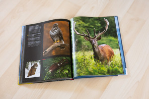 Publik�cia Ve�k� a Mal� Fatra