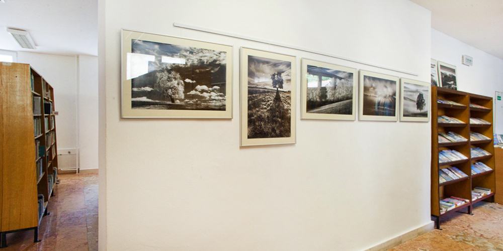 Výstava fotografií v Turčianskej knižnici v Martine.