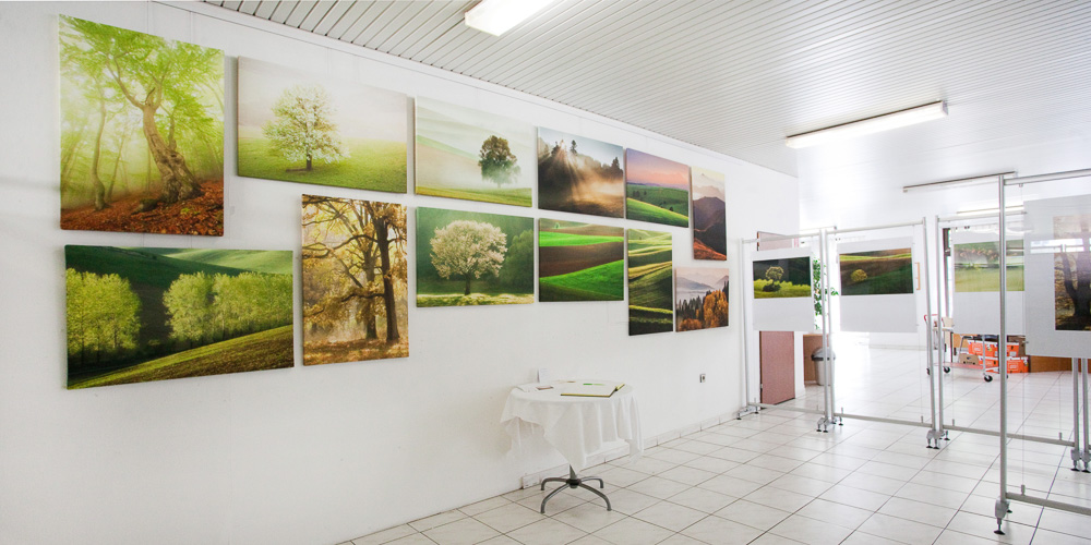 Výstava fotografií v Krajskej knižnici v Žiline.