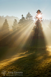 Turiec (vystavovan� fotografia)