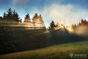 Turiec (vystavovan� fotografia)